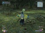 kuikku_1226.jpg